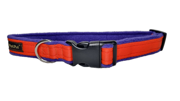 Colour Collar - Orange