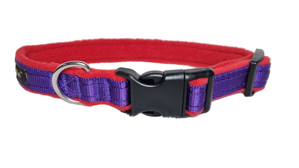 Colour Collar - Purple