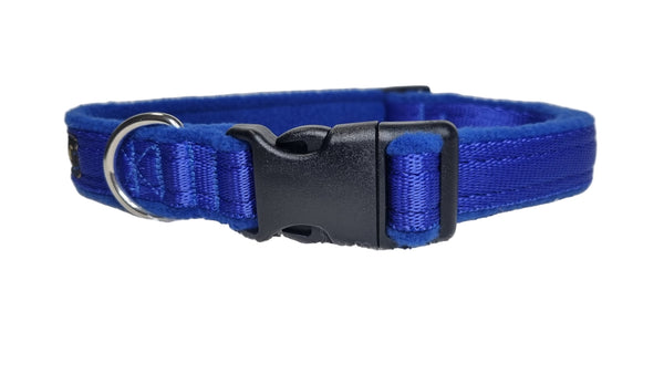 Colour Collar - Royal Blue