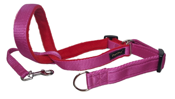 Colour 2Posh2Pull™ - Pink