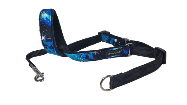 Luxury 2Posh2Pull™ - Galaxy