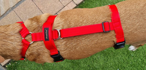 Arnés corporal (hecho a medida; consulte la guía de medición)