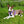 Load image into Gallery viewer, Made to Measure Body Harness - CURRENTLY ON HOLD TO KEEP WAITING TIME DOWN - Orders to re-open on 20/10/25 PLEASE PROVIDE YOUR DOG'S MEASUREMENTS (see measuring guide in description below)