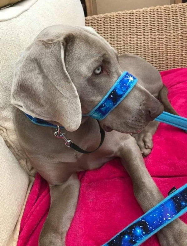 Luxury 2Posh2Pull™ - Galaxy