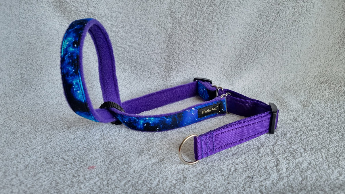 Luxury Dog head collar-Galaxy 2Posh2Pull™