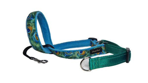 Luxury 2Posh2Pull™ - Peacock