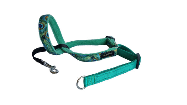 Luxury 2Posh2Pull™ - Peacock