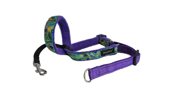 Luxury 2Posh2Pull™ - Peacock