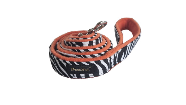 Laisse de luxe - Zèbre