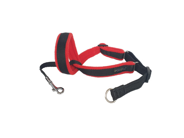 Original 2Posh2Pull™