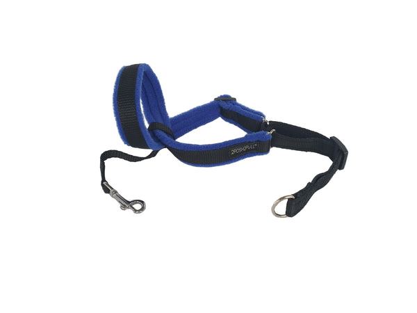 Original 2Posh2Pull™