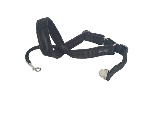 Original 2Posh2Pull™