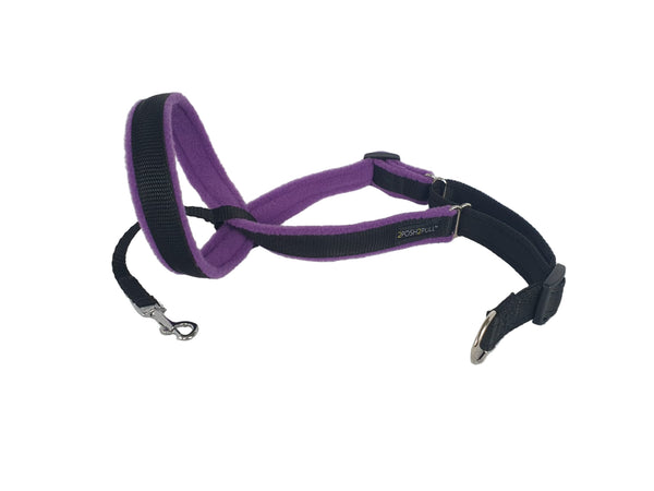 Original 2Posh2Pull™