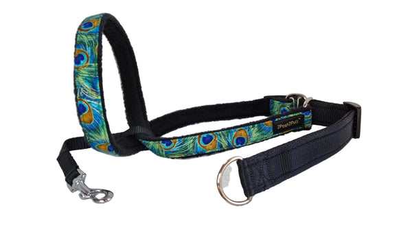 Luxury 2Posh2Pull™ - Peacock