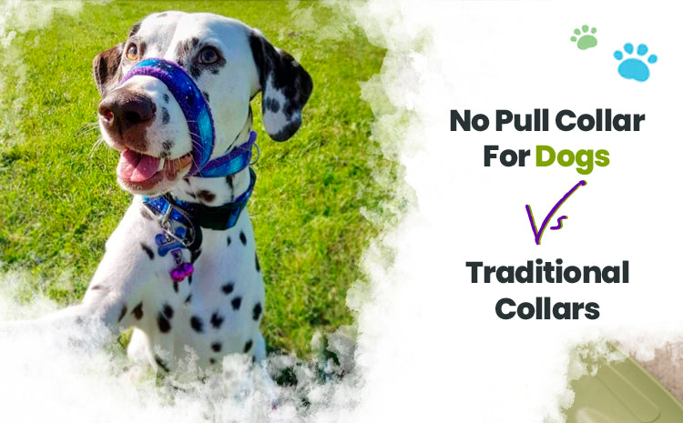 No pull collars online