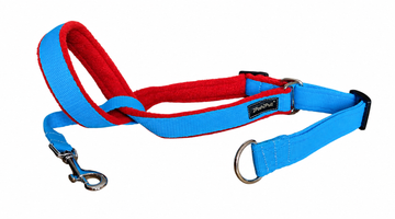 Do No-Pull Headcollars Really Work? Everything You Need to Know