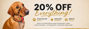 Summer Sale — 20% Off Everything