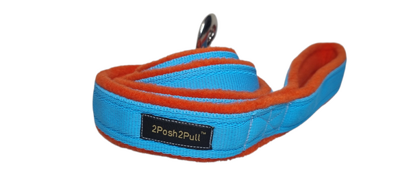 Colour Lead - Turquoise