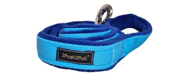 Colour Lead - Turquoise