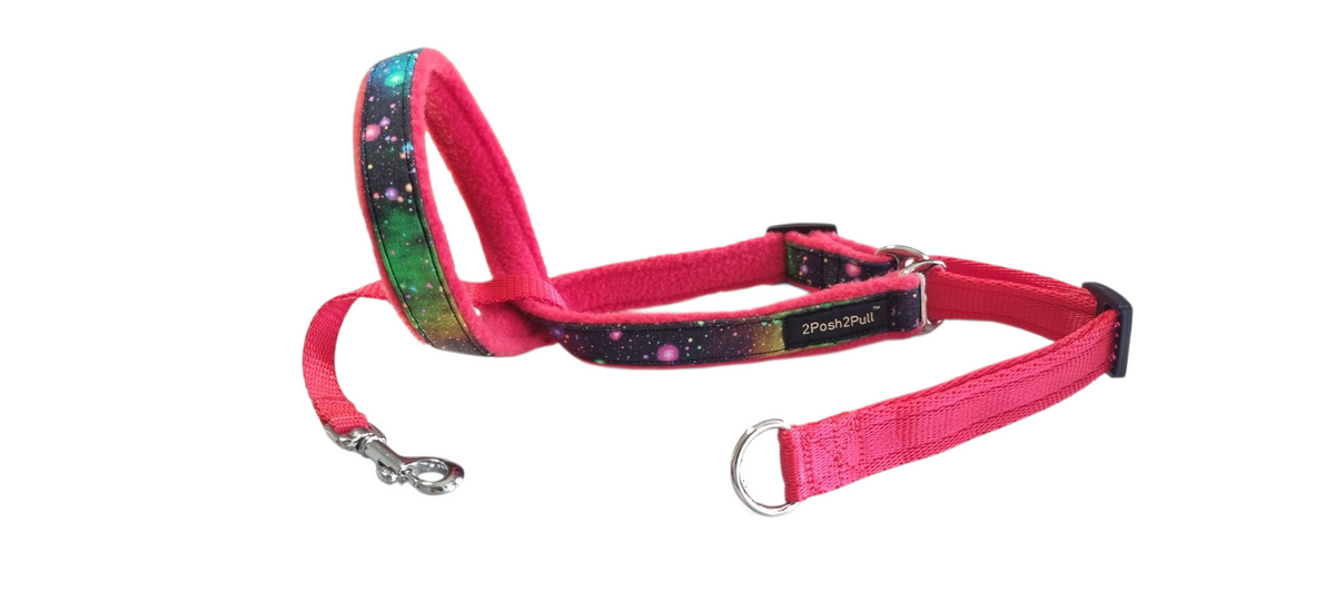 Luxury 2Posh2Pull™ - Rainbow Galaxy