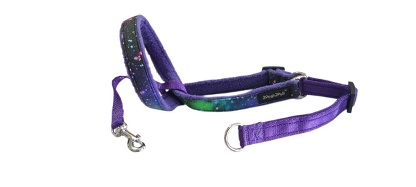 Luxury 2Posh2Pull™ - Rainbow Galaxy