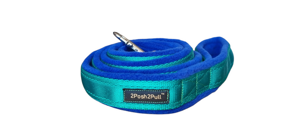 Color Plomo - Verde 