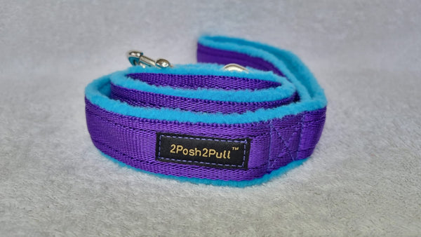 Color Plomo - Púrpura 