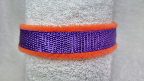 Collar de color - Púrpura