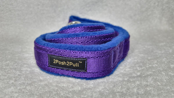 Color Plomo - Púrpura 