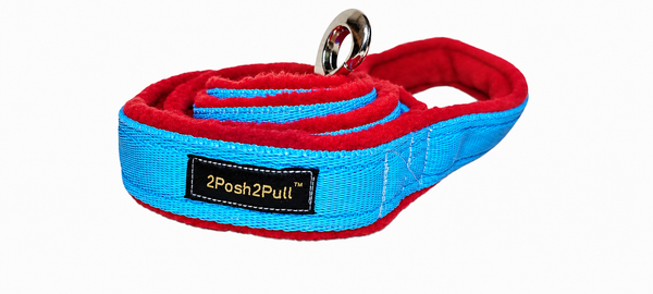 Colour Lead - Turquoise