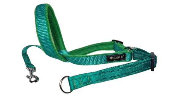 Couleur 2Posh2Pull™ - Vert