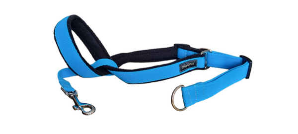 Couleur 2Posh2Pull™ - Turquoise