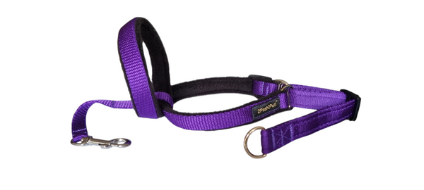 Couleur 2Posh2Pull™ - Violet