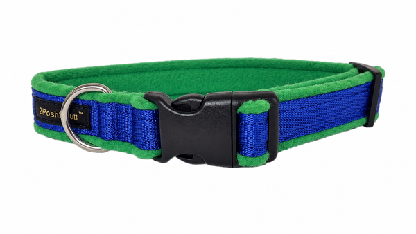 Collier Couleur - Bleu Royal