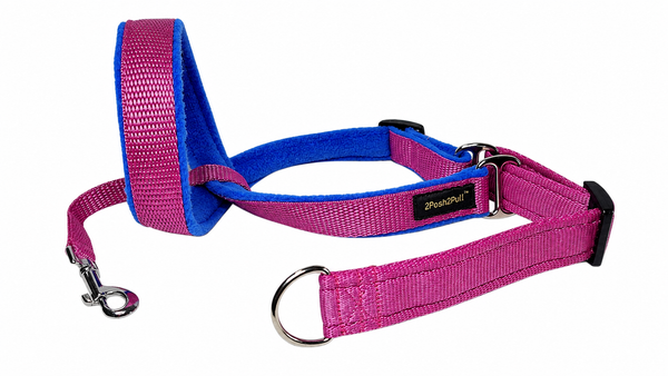 Couleur 2Posh2Pull™ - Rose