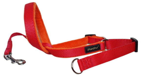 Couleur 2Posh2Pull™ - Rouge