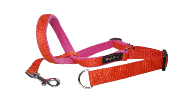 Couleur 2Posh2Pull™ - Orange