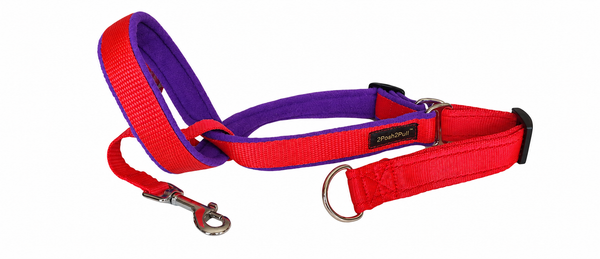 Couleur 2Posh2Pull™ - Rouge