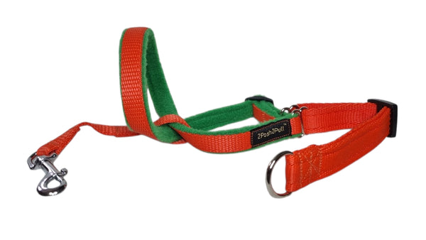 Couleur 2Posh2Pull™ - Orange