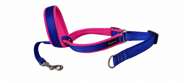Couleur 2Posh2Pull™ - Bleu Royal