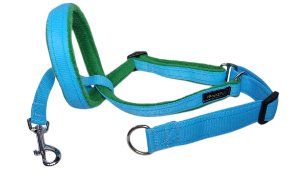 Couleur 2Posh2Pull™ - Turquoise