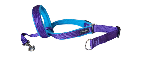 Couleur 2Posh2Pull™ - Violet