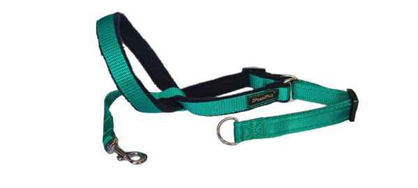 Couleur 2Posh2Pull™ - Vert