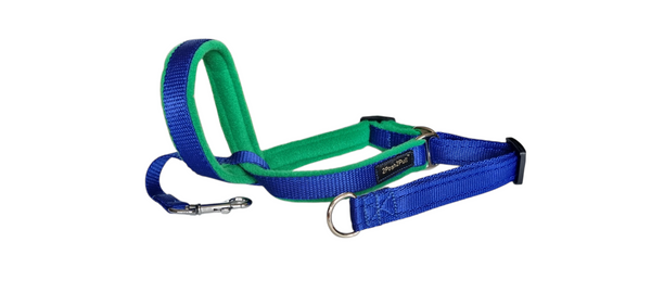 Couleur 2Posh2Pull™ - Bleu Royal