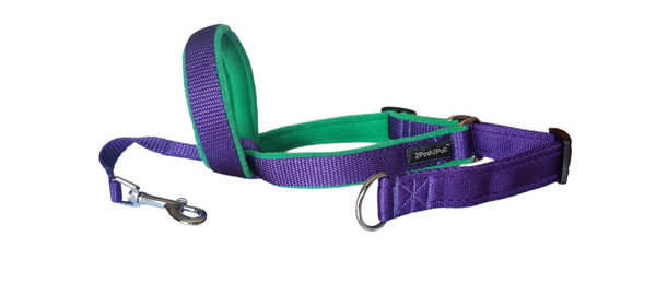 Couleur 2Posh2Pull™ - Violet