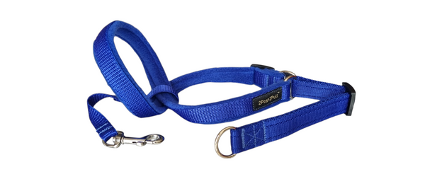 Couleur 2Posh2Pull™ - Bleu Royal