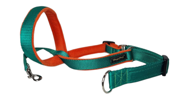 Couleur 2Posh2Pull™ - Vert