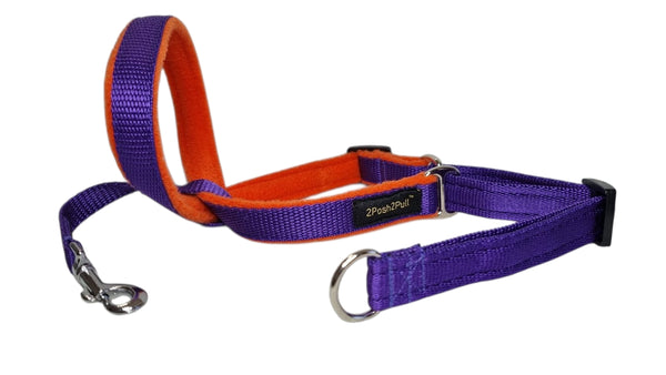 Couleur 2Posh2Pull™ - Violet