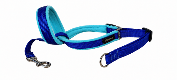 Couleur 2Posh2Pull™ - Bleu Royal