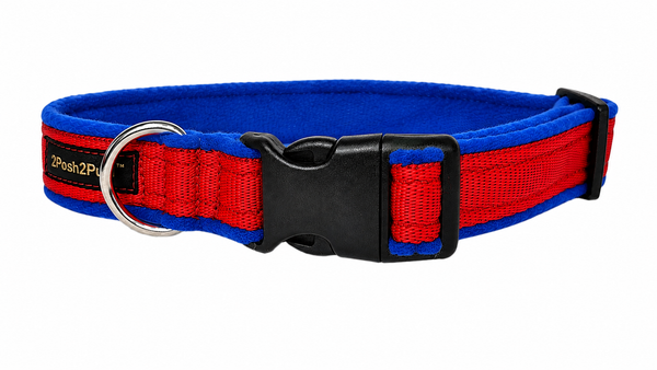 Collier de couleur - Rouge